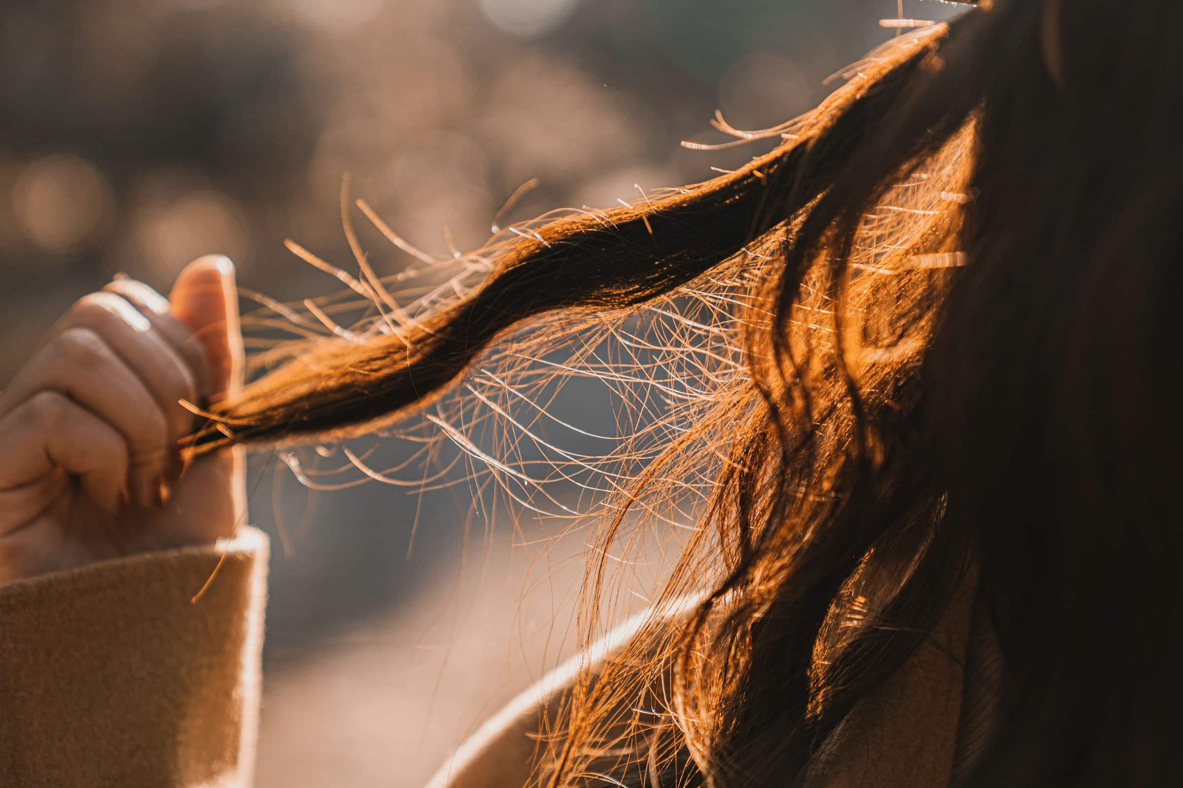 Mulher segura uma mecha de cabelo longo com frizz contra a luz do sol